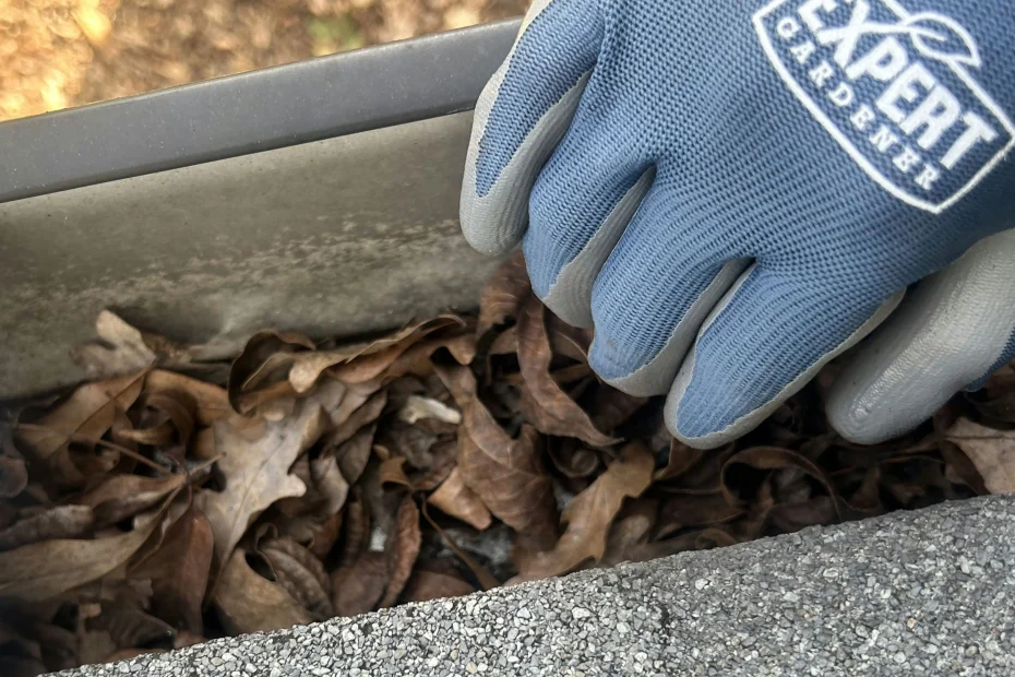 Gutter Cleaning Blue Springs, MO