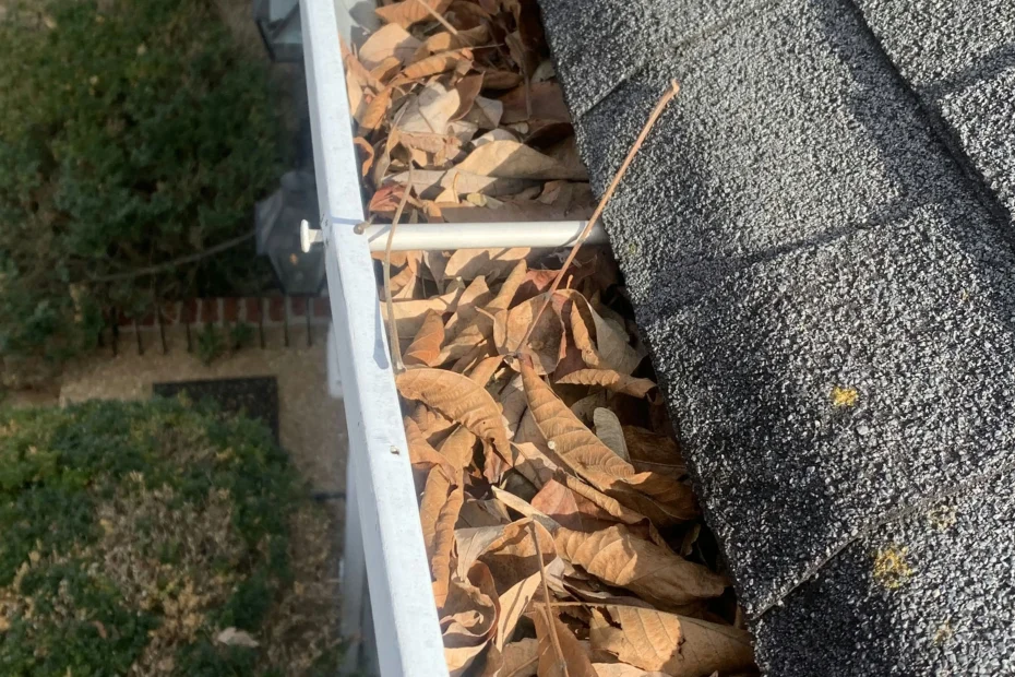 Gutter Cleaning Blue Springs, MO